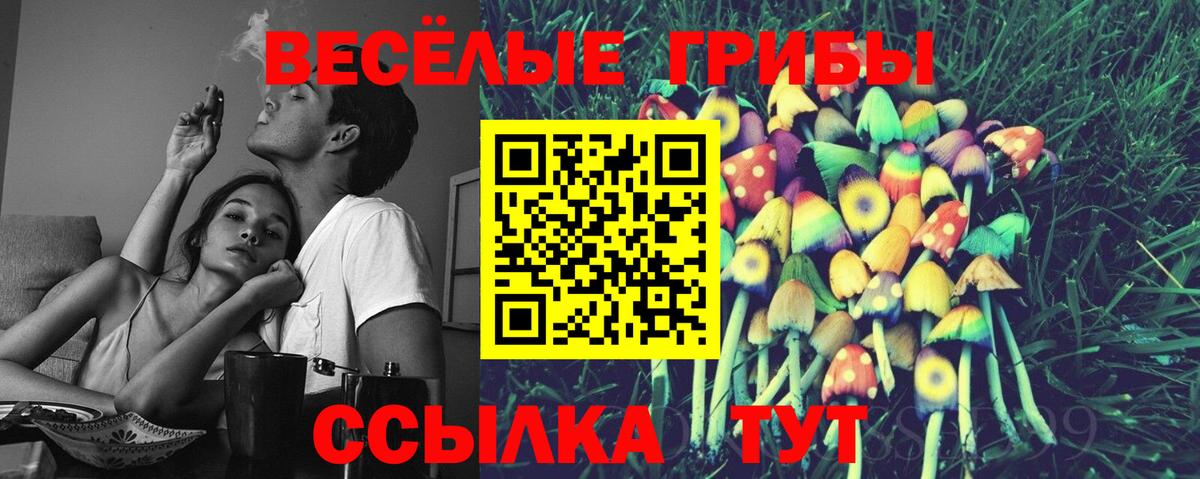 Мариинск  Галлюциногенные грибы Psilocybe  купить закладку  Вход с VPN  Псилоцибиновые грибы Cubensis 